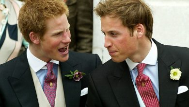 Фото - Королевскую семью «держат в неведении» относительно содержания книги принца Гарри