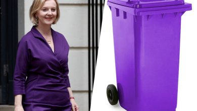 Фото - Пользователи Twitter сравнили наряды Лиз Трасс с контейнерами для мусора