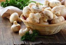 Фото - Спрос на свежие грибы в России оказался в 48 раз выше, чем на сушеные