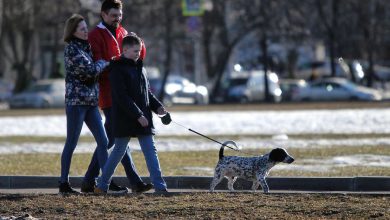 Фото - Большинство россиян считают прогулки лучшим способом снять стресс